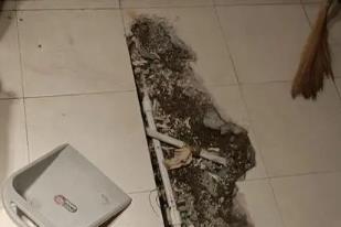 泉山卫生间漏水检测电话